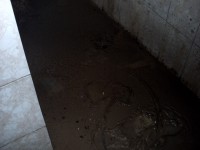 /album/no-dia-da-chuva/imagem-088-jpg/